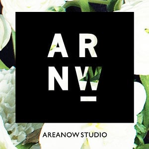 Profile picture for Areanow Studio
