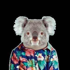 Profile picture for Alexis Vandenbrande