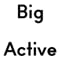 Portrait image for Big Active