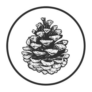 Profile picture for Ivan Belikov