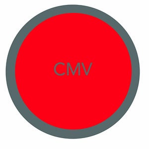 Profile picture for Christian Murray