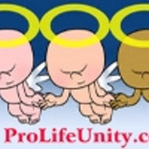 Profile picture for Peter Shinn