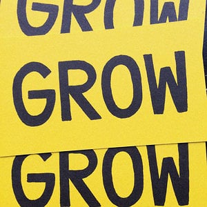 Profile picture for Grow Film Company