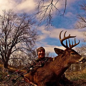 Profile picture for Mitch McArdle
