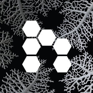 Profile picture for Nervous System