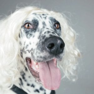 Profile picture for bielecki&bielecka