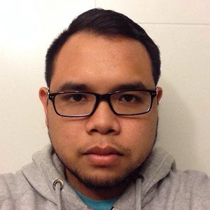 Profile picture for Budi Alfian