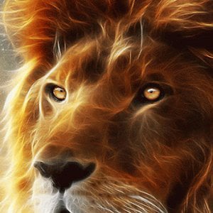 Profile picture for Florida Bas-Bor