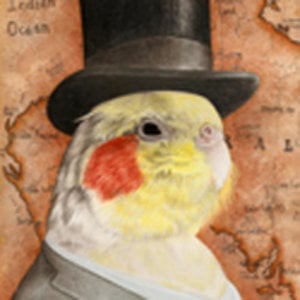 Profile picture for Jason Boyce