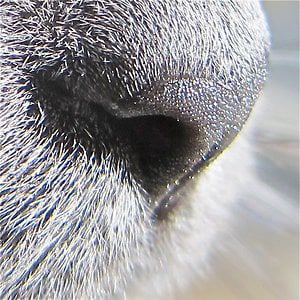 Profile picture for Brian Chapman