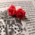 Les Contes De Lily