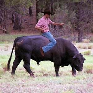 Profile picture for Kyle Goddard