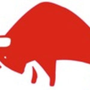 Profile picture for Henk Puister