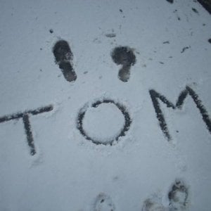 Profile picture for Tomas Roggero