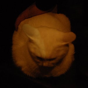 Profile picture for marc-andré yonkers-vidal