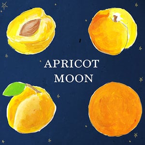 Profile picture for Apricot Moon