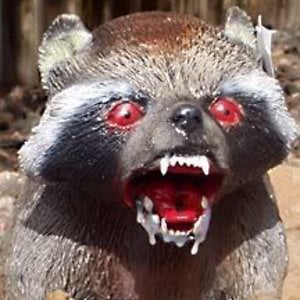 Profile picture for nate sperling