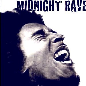 Profile picture for midnightraverblog.com