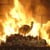 Yule Log III