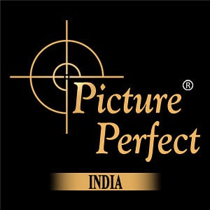 Profile picture for Picture Perfect India