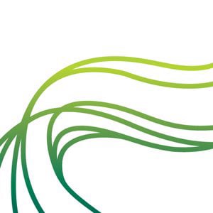 Profile picture for The Phoenix Group