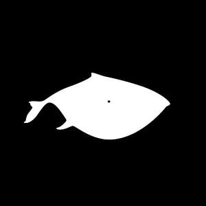 Profile picture for MONSTRO