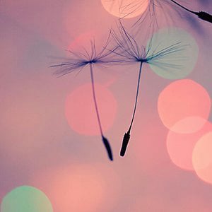 Profile picture for Melanie
