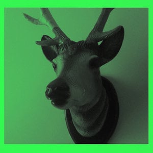 Profile picture for Bjorn Vandenbussche