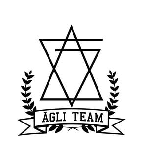 Profile picture for AGLI TEAM