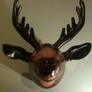 Profile picture for sacha cesana