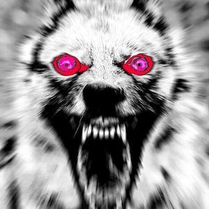 Profile picture for Анатолий Мельник