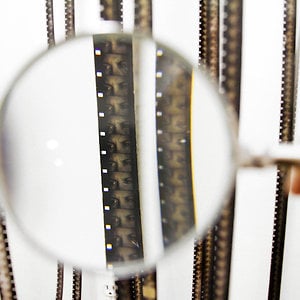 Profile picture for Microscope Gallery