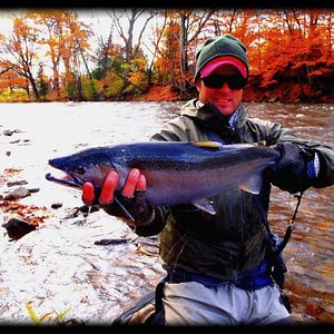 Profile picture for Blueneck Trout Media
