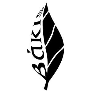 Profile picture for BAKIS