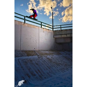 Profile picture for Will Mayo