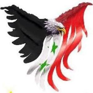 Profile picture for Ali HAssan