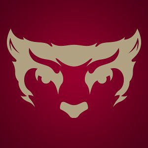 Profile picture for Willamette Bearcats
