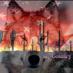 Profile picture for spiritwolf04