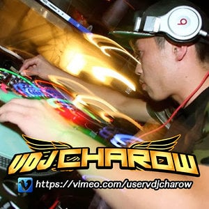 Profile picture for VDJ CHAROW