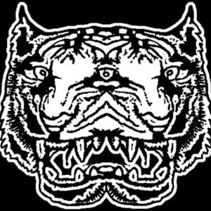Profile picture for The Death Set