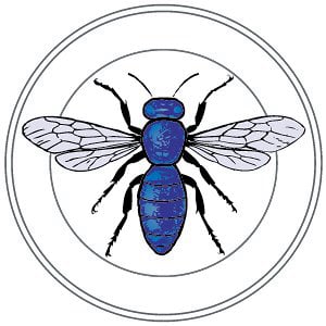 Profile picture for Blue Bee Studio