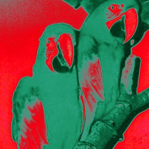Profile picture for Alexis Facca