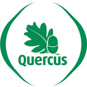 Profile picture for Quercus Porto