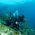 Diving Video