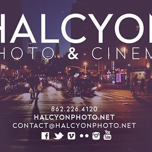 Profile picture for Halcyon Photography