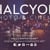 Halcyon Photography