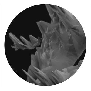 Profile picture for james francis