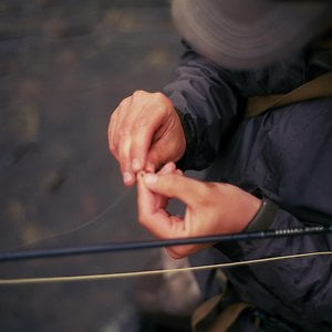 Profile picture for Tatrofish Films