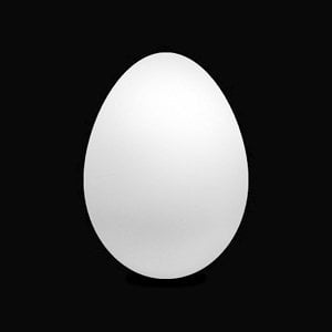 Profile picture for o