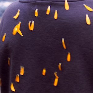 Profile picture for Roberto Duarte